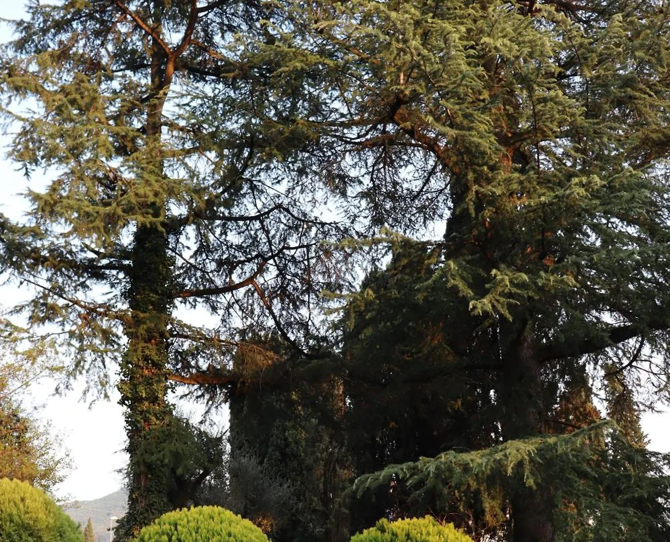 Appartement Forest In The Lake Garda  Italië