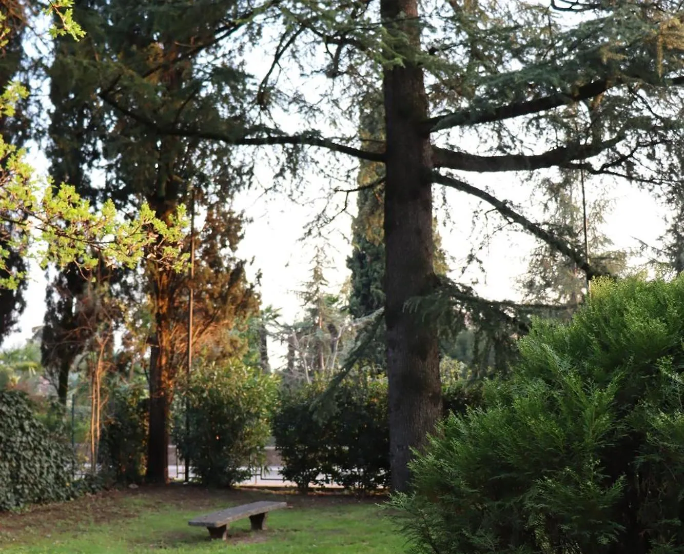 Forest In The Lake Garda  Italië