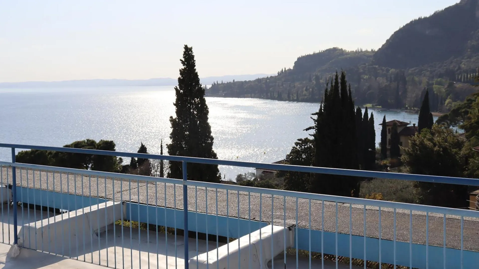 Forest In The Lake Garda  Garda (Verona)